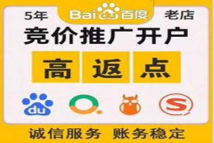 某零售业SEM策略调整，实现销售业绩大增